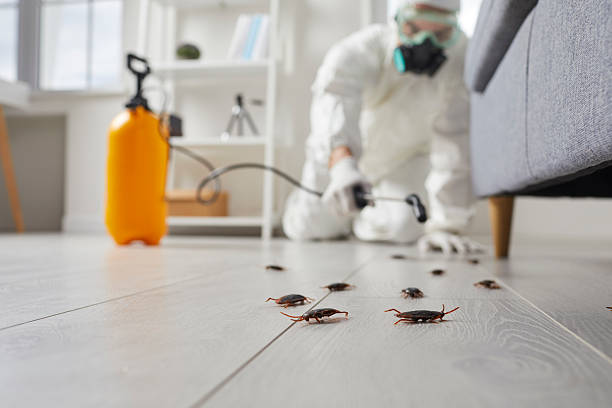 Commercial Kitchen Cockroach Control in Windber